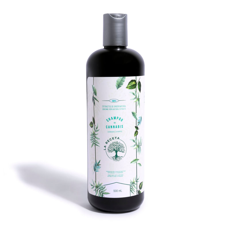 Shampoo De Argán Para Cabello Seco La Receta 500 Ml